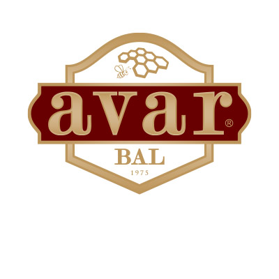 METI2021-Avar-Bal